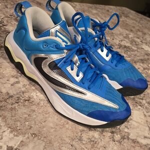 Giannis Nike Basketball shoes